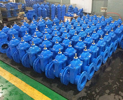 gate valve