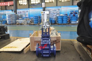 Pneumatic ceremic lined double disc gate valve