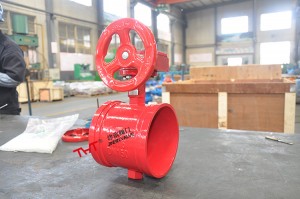 Grooved ended fire fighting butterfly valve