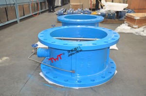 slowly closing flange check valve