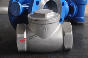 threaded screw ສິ້ນສຸດ swing check valve