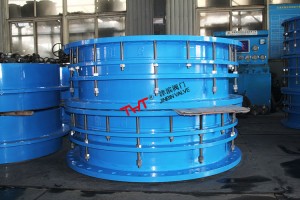 carbon steel dismantling expansion joint