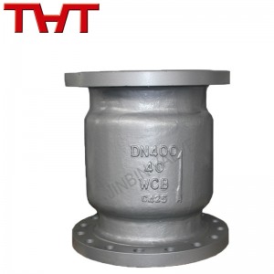 Carbon steel spring loaded vertical type flange check valve