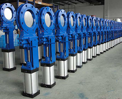 gate valve