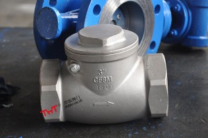 threaded screw ended swing check valve