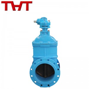 BS 5163 NRS Resilient wedge rooj vag valve