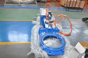 Pneumatic actuated ductile iron thipa heke valve