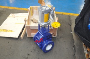 Pneumatic ceremic lined double disc gate valve