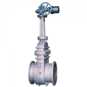 OEM Manufacturer Small Check Valve - Electric actuated gate valve – Jinbin Valve