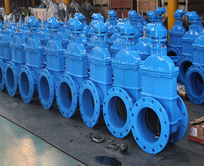 gate valve