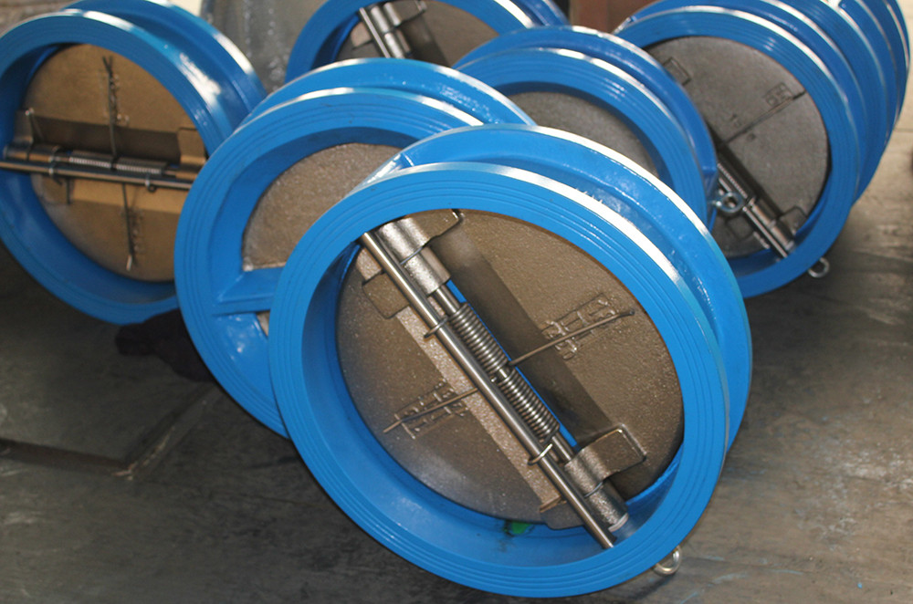 Double plate wafer check valve