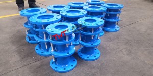 carbon steel dismantling expansion joint