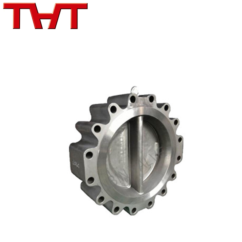 Professional Design Cast Iron Strainer - Double plate lug check valve – Jinbin Valve