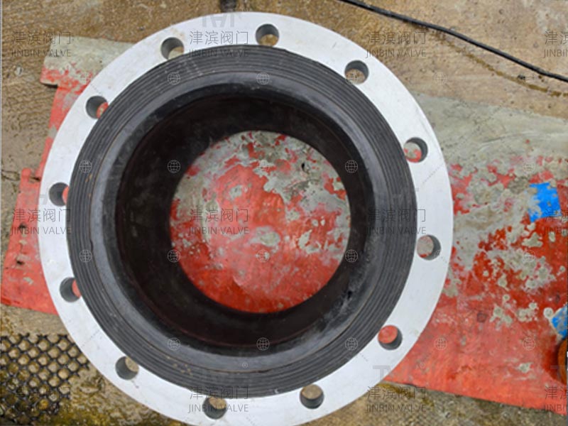 DN300 expansion joint 2