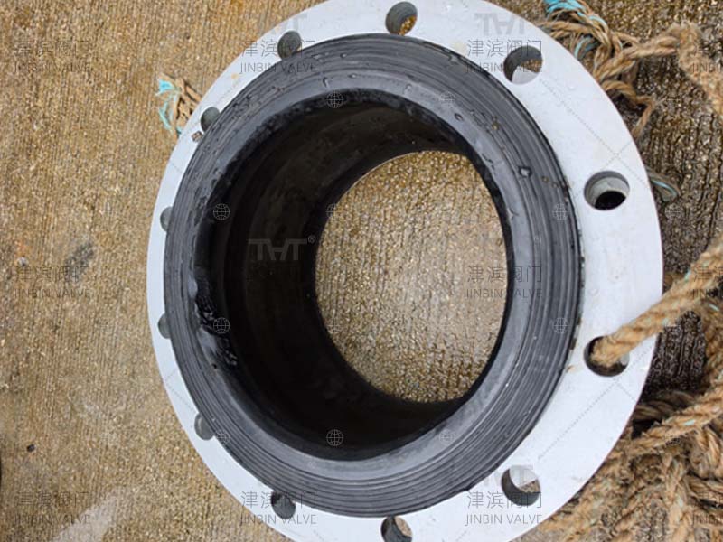 DN300 expansion joint