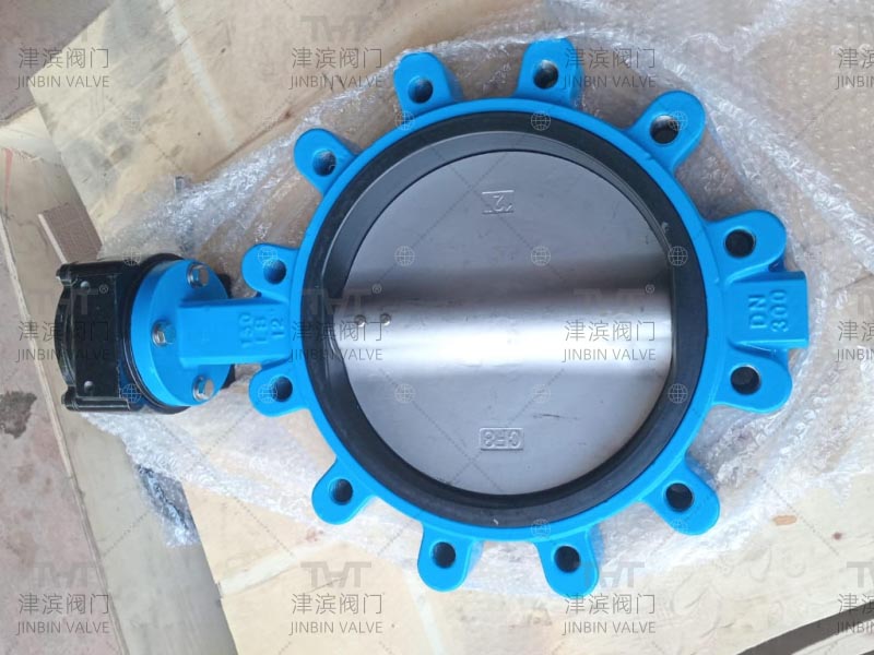 DN300 lug butterfly valve