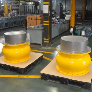 Ductile iron foot valve