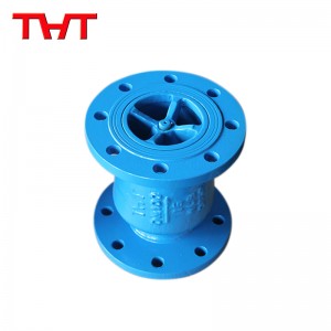 Globe style Silent check valve