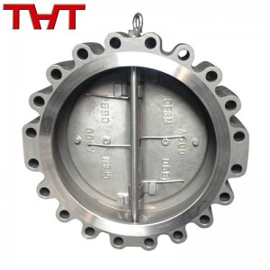 Lug type double disc swing check valve (casting body)