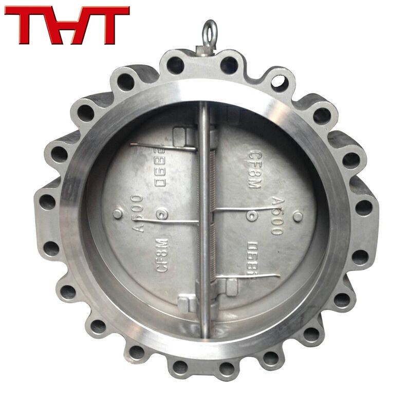 Lug type double disc swing check valve(casting body) (2)