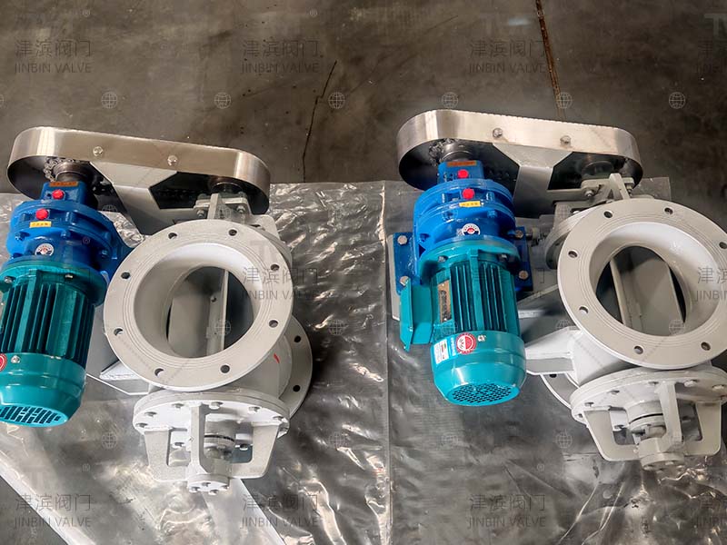 Rotary discharge valve 1