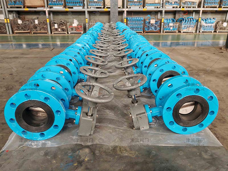 Worm Gear Flinge Flefy Fleld Set Butle-ka ayaa la keenay