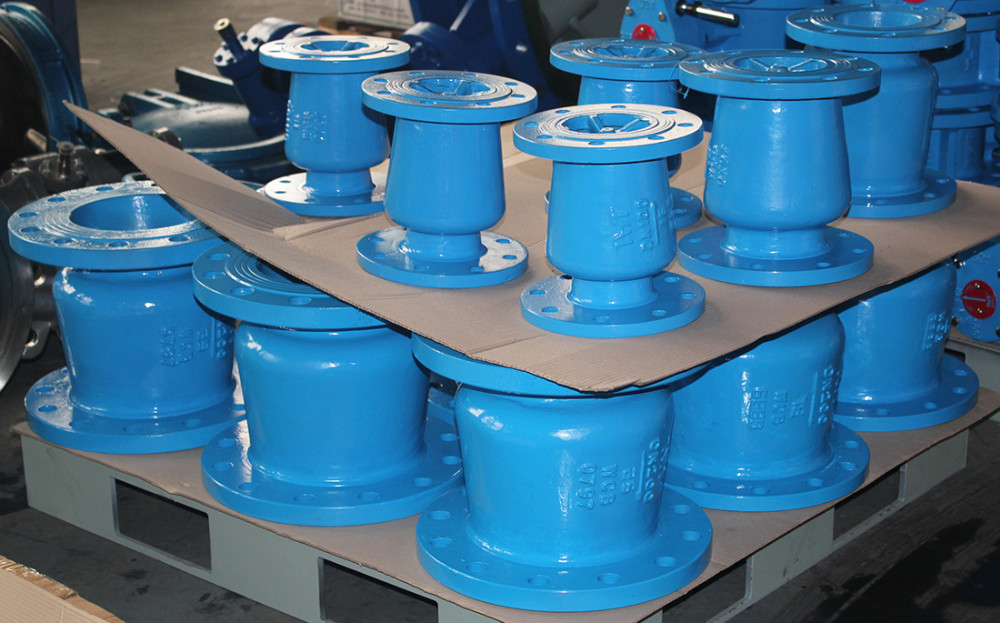 Globe style Silent check valve