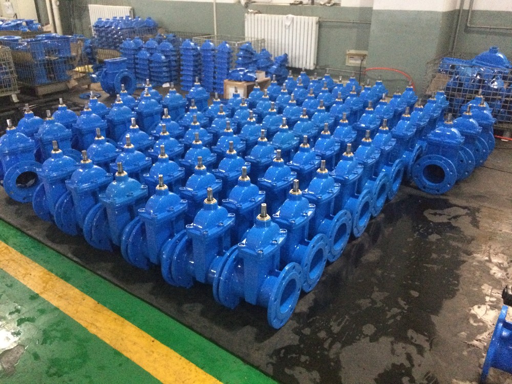 DIN3352 F5 NRS Resilient wedge gate valve