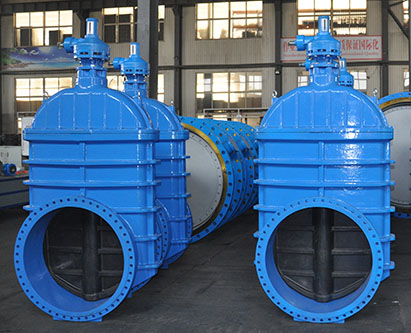 gate valve