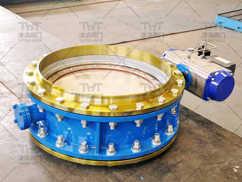 The pneumatic eccentric butterfly valve has been delivered