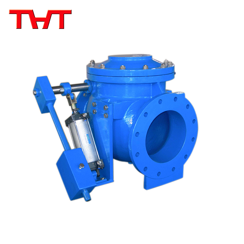 check valve with lever and weight-1