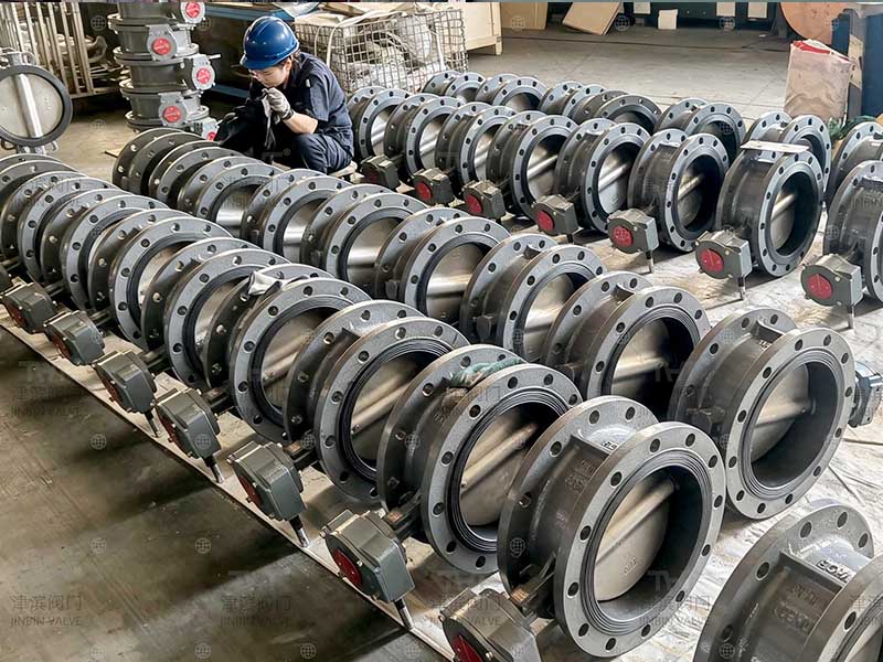 Diverse range of flange butterfly valves