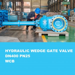 Hydraulic Wedge Gate Valve