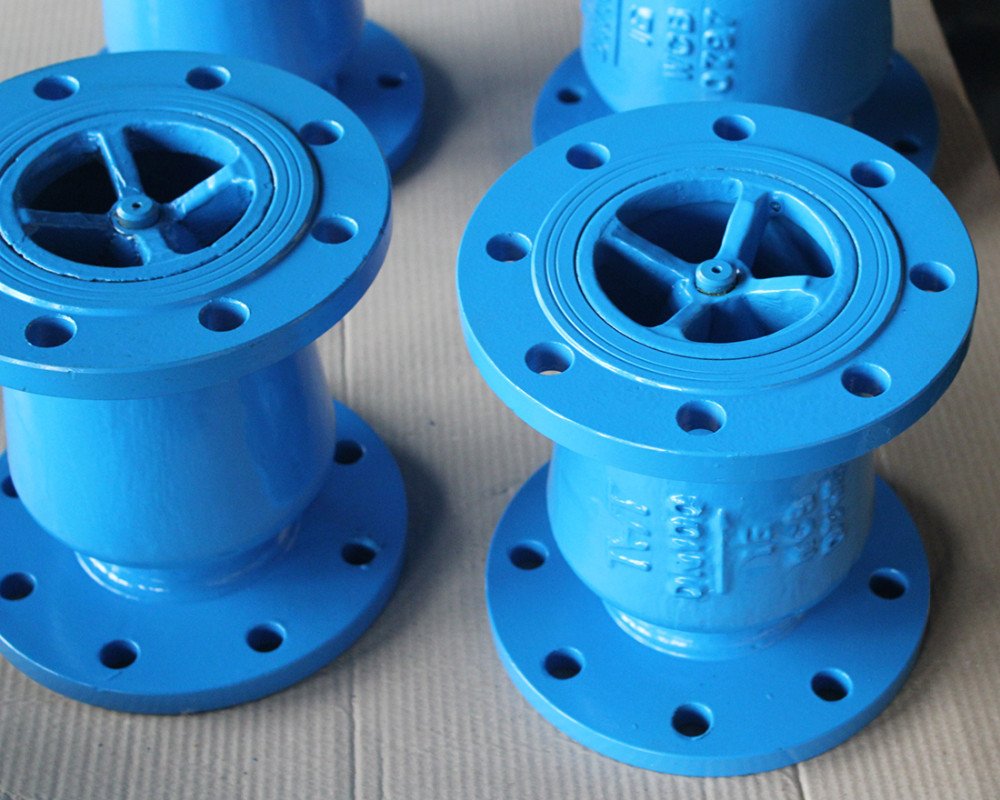 Globe style Silent check valve