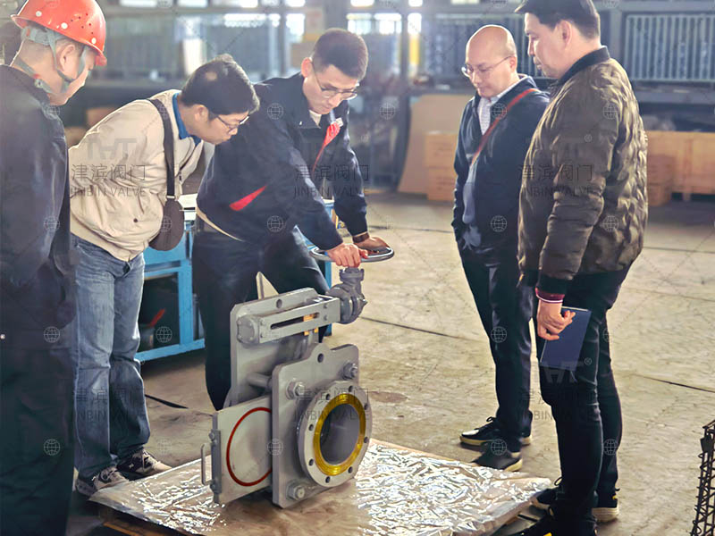 Welcome Thai customers to inspect the high pressure goggle valve
