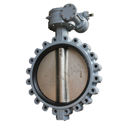 Factory made hot-sale Worm Gear Butterfly Valve - PN25 Large siize lugged type butterfly valve – Jinbin Valve