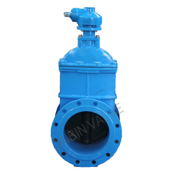 China OEM Rubber Duckbill Check Valve - BS 5163 NRS Resilient wedge gate valve – Jinbin Valve