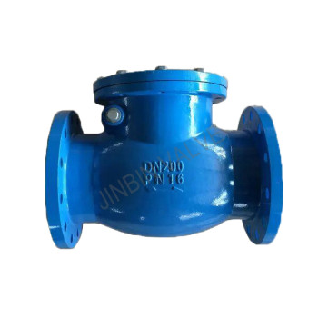 Renewable Design for Large Size Double Flange Butterfly Valve - DIN F6 Cast iron swing check valve – Jinbin Valve