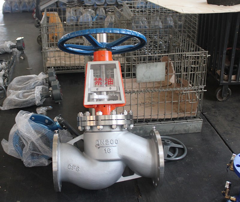 Oxygen globe valve