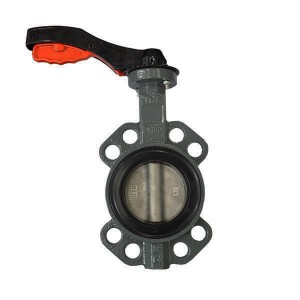 Replaceable soft seat wafer butterfly valve