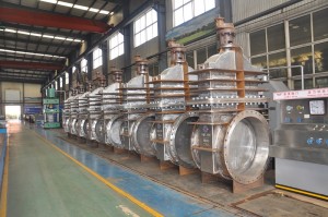 2205 seawater gate valve