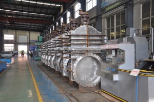 2205 seawater gate valve