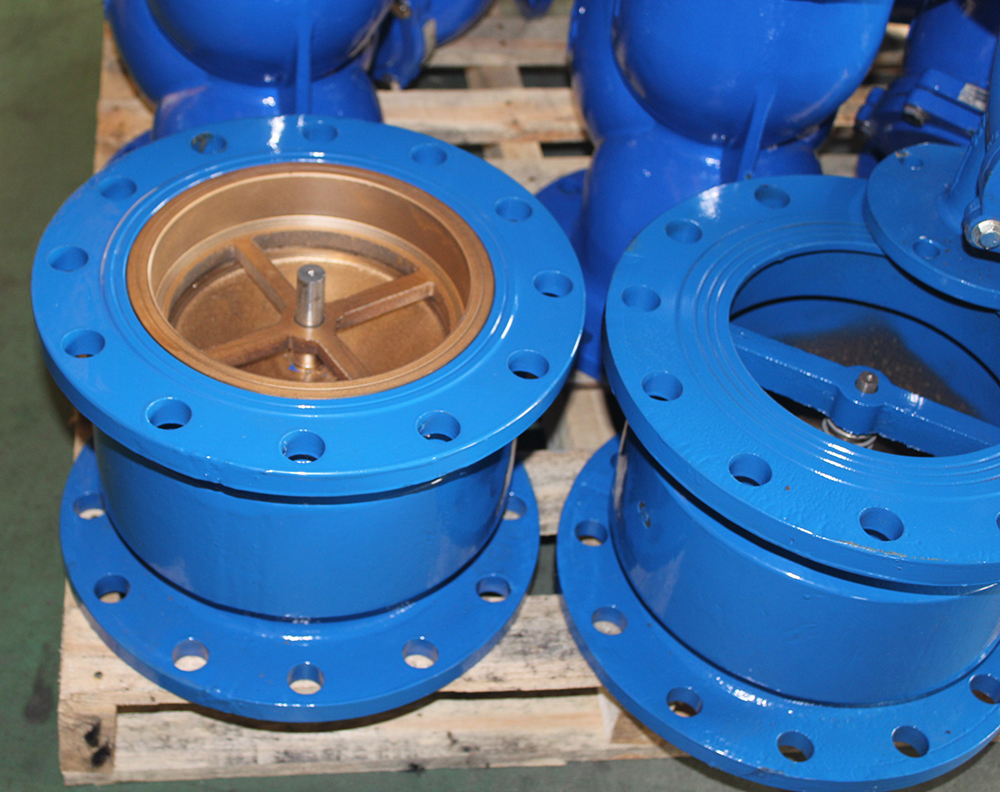 Non-slam Check Valve with spring noise emimination