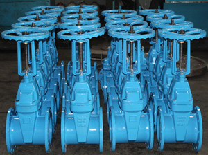 BS5163 RS Resilient wedge gate valve