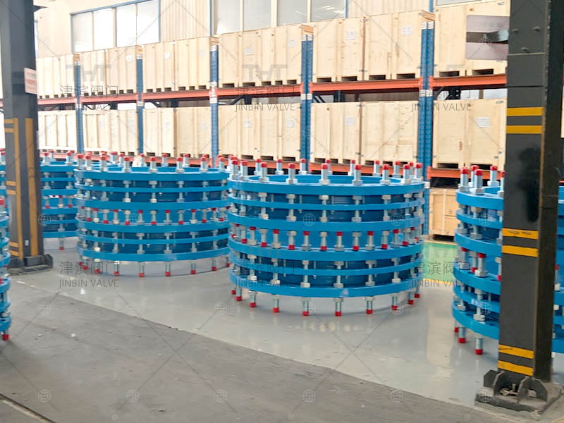valve expansion joints 1