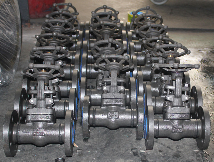 A105 Forged steel rising stem flange gate valve