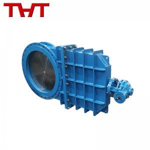 Bi-directional resilient zaum Riam rooj vag Valve