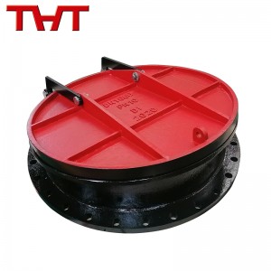 ductile hao poepoe flap valve