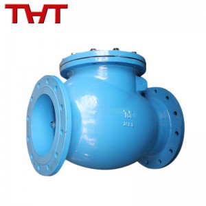 DIN F6 Cast iron swing check valve